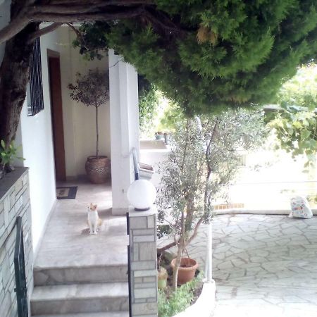 Kavala Apartment Zewnętrze zdjęcie